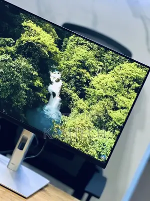 Dell Flameless Monitor P2422h