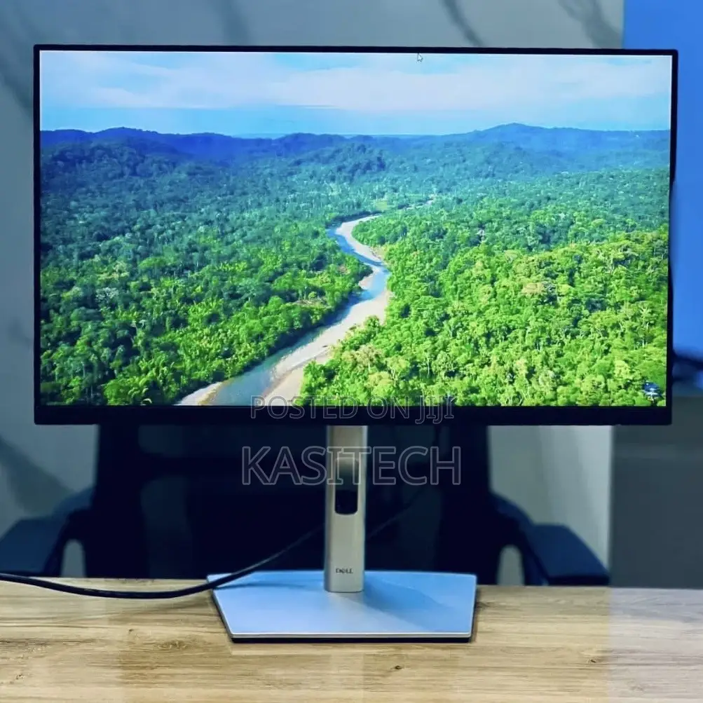 Dell Flameless Monitor P2422h