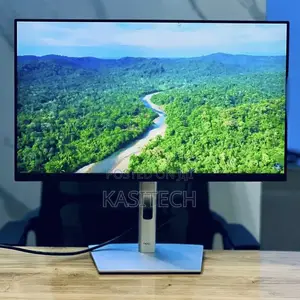 Dell Flameless Monitor P2422h