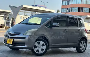 Toyota Ractis 2007 Gray