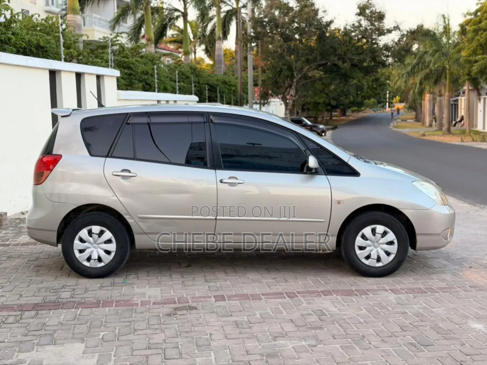 Toyota Corolla Spacio 2003 Gray