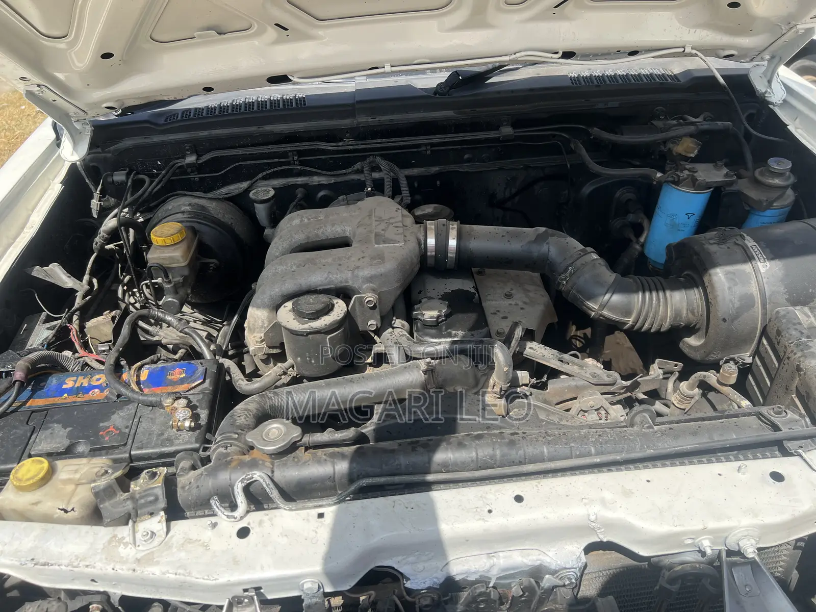 Nissan Hardbody 2005 White