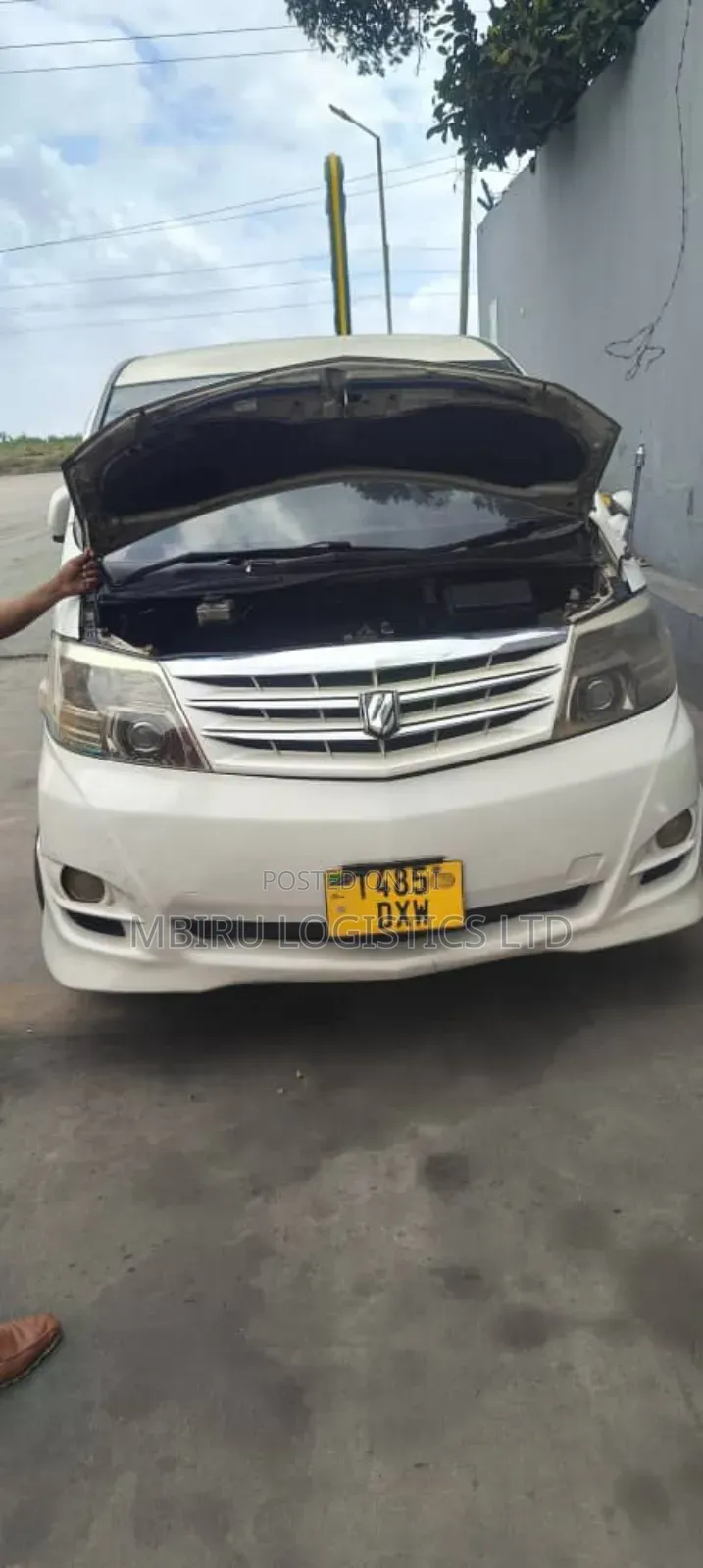 Toyota Alphard 2008 White