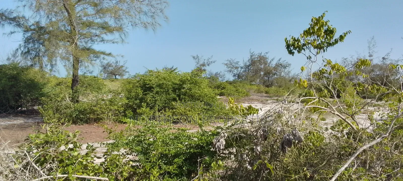 Beach at Mapinga Bagamoyo