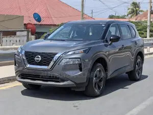Nissan X-Trail 2024 Gray