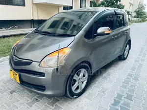 Toyota Ractis 1.5 AWD 2006 Gray