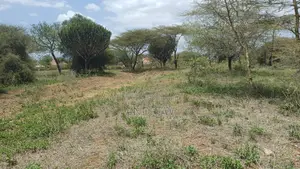 Multiple Land Use for Sale at Kisongo Area, Arusha Tanzania