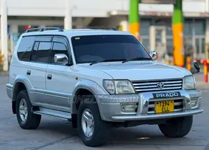 Toyota Land Cruiser Prado 2002 Silver