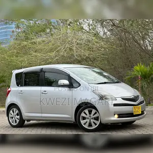 Toyota Ractis 2007 Silver