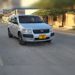 Toyota Probox 2003 Silver
