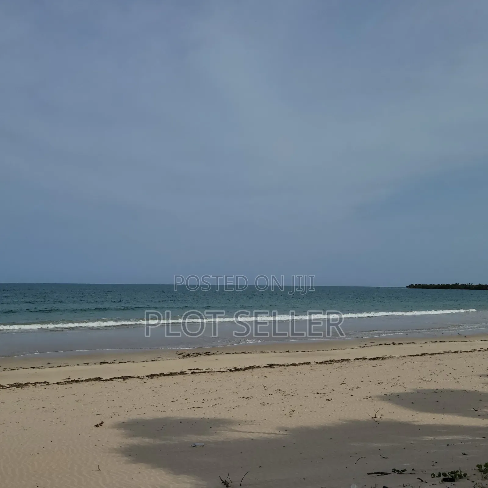 10 Acres Sand Beachplot for Sale