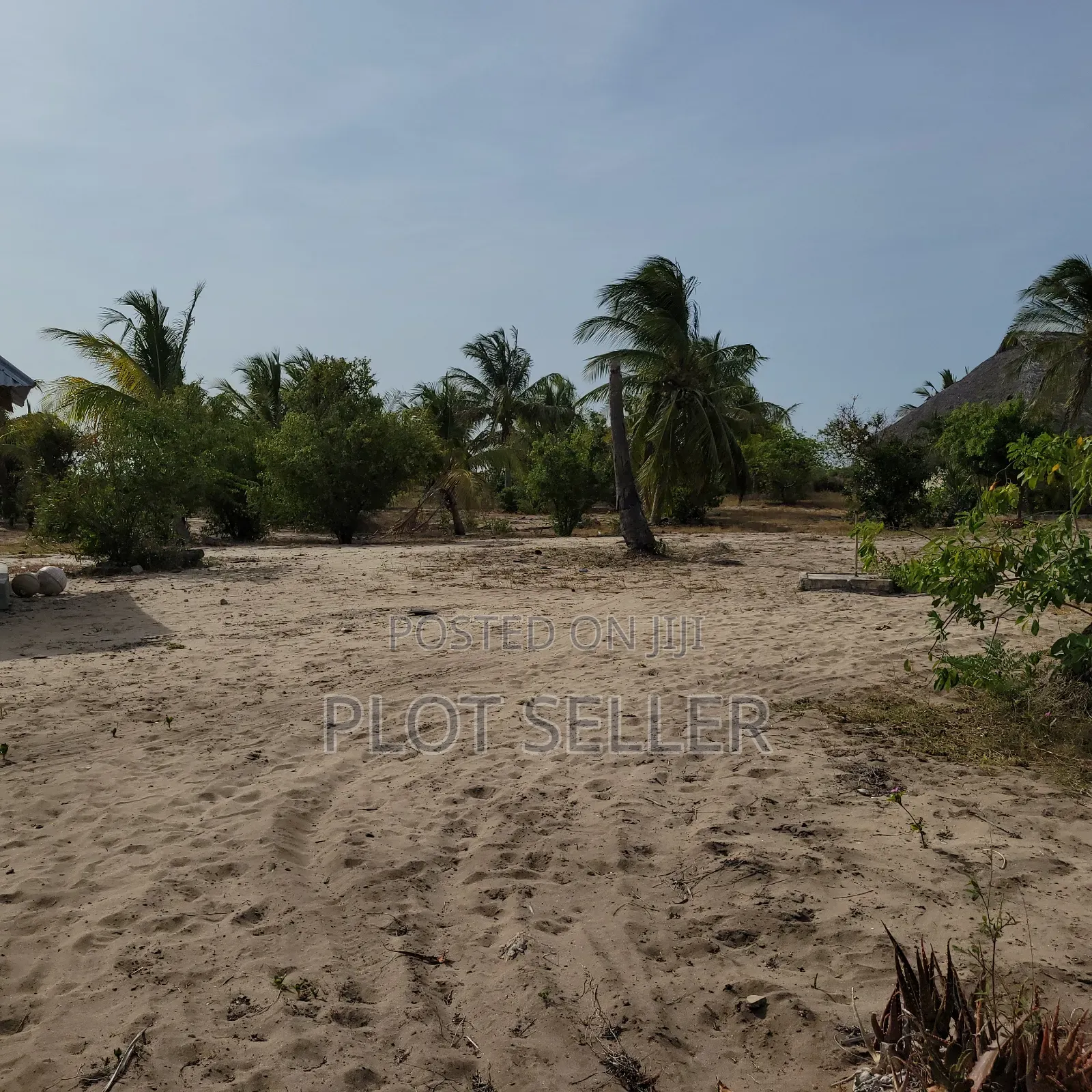10 Acres Sand Beachplot for Sale