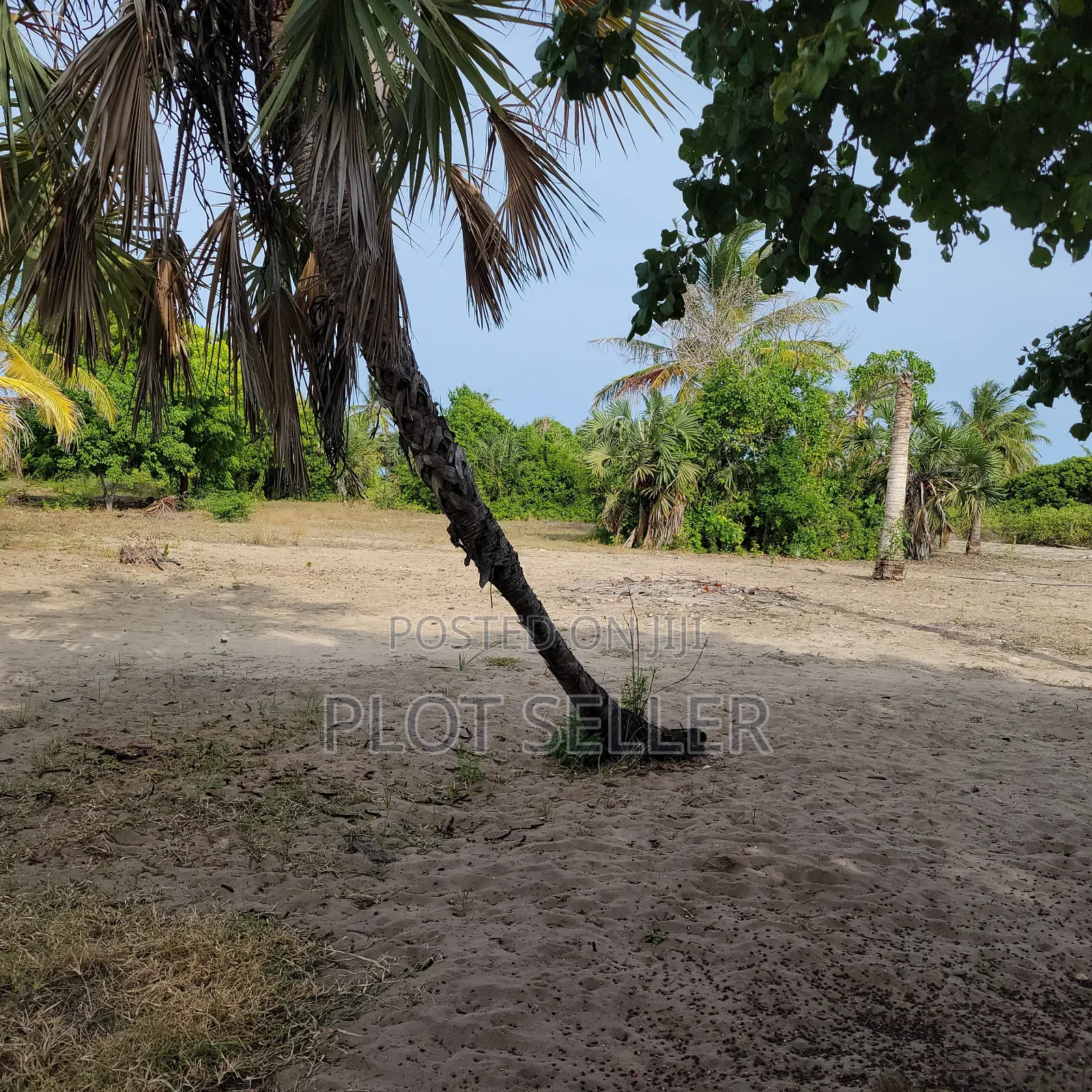 10 Acres Sand Beachplot for Sale