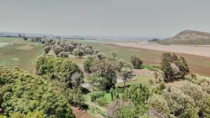 Farm 2000 Acres for Sale at Olmogol West Kilimanjaro