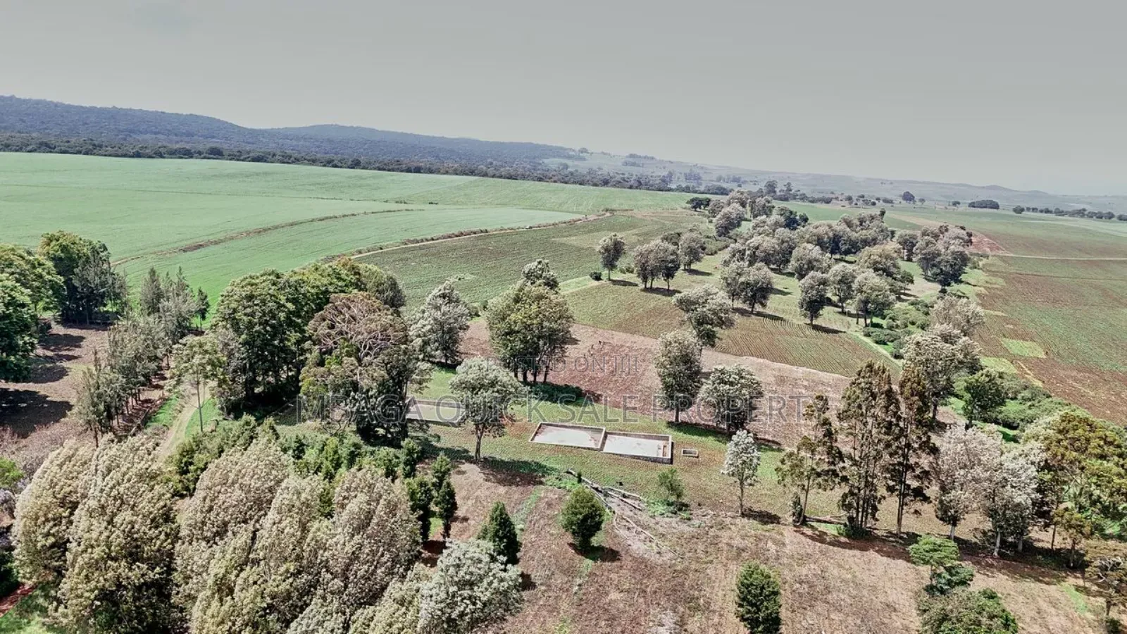 Farm 2000 Acres for Sale at Olmogol West Kilimanjaro