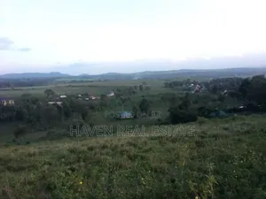 *Eneo La Ekari 9 Lenye View Ya Mlima Meru Linauzwa Olmotonyi, Arusha*