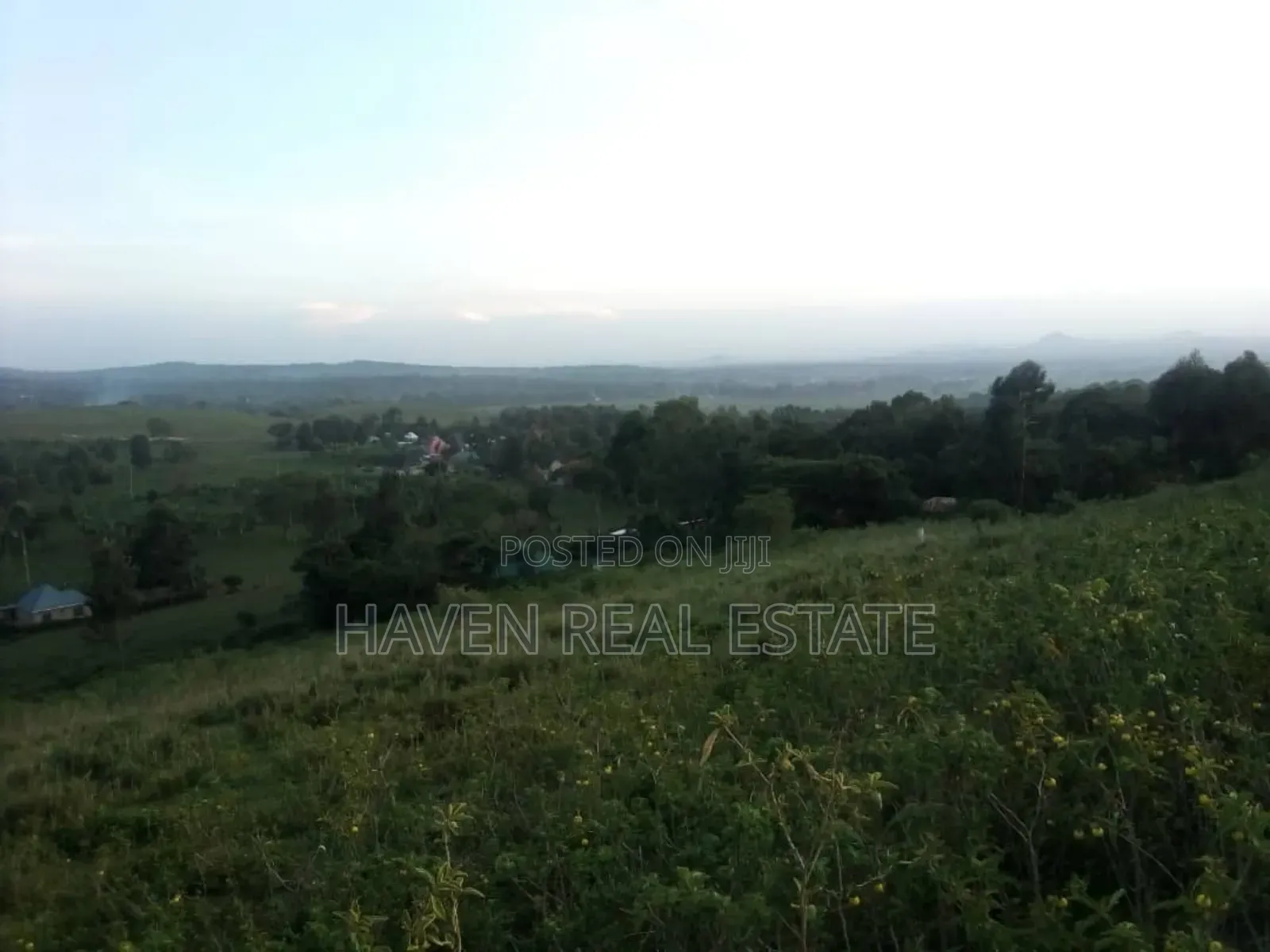 *Eneo La Ekari 9 Lenye View Ya Mlima Meru Linauzwa Olmotonyi, Arusha*