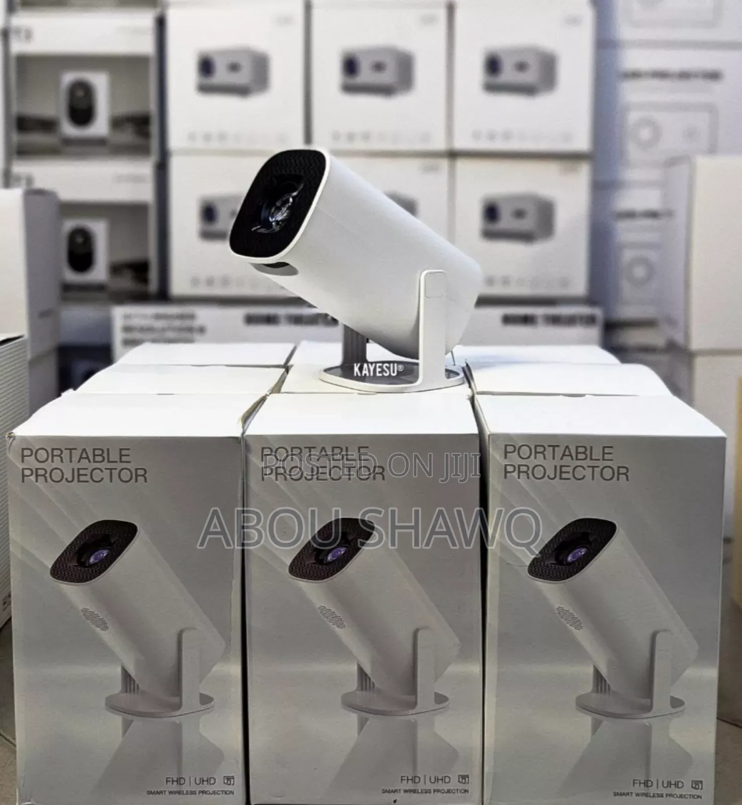 Portable Projector