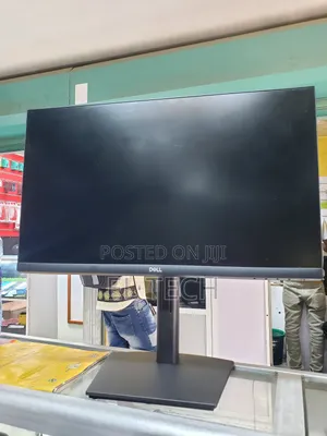 Dell Monitor 24