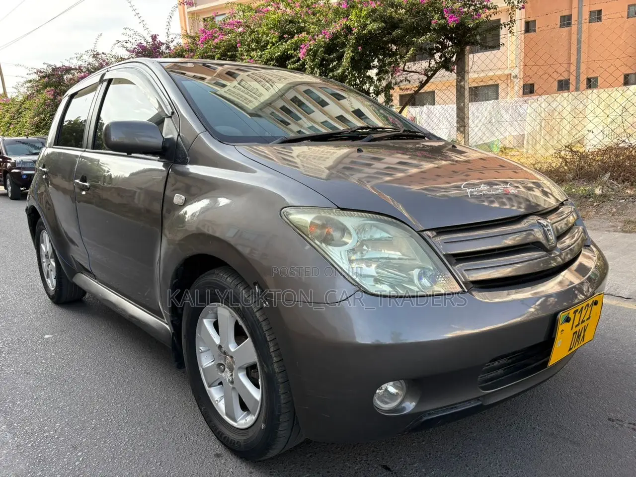 Toyota IST 2005 Gray