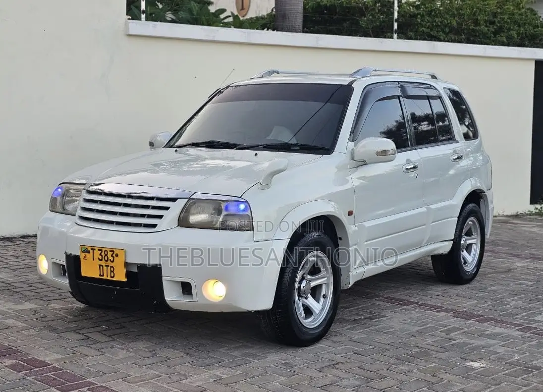 Suzuki Escudo 2004 White