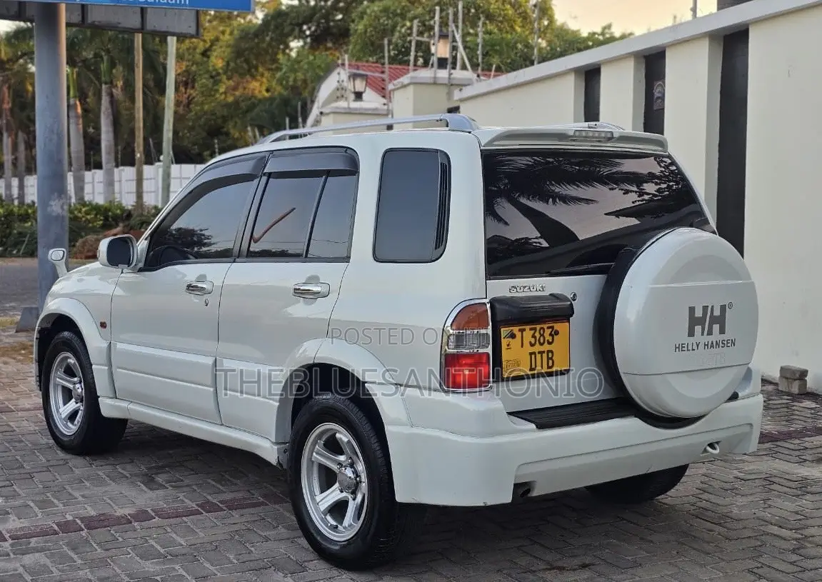 Suzuki Escudo 2004 White