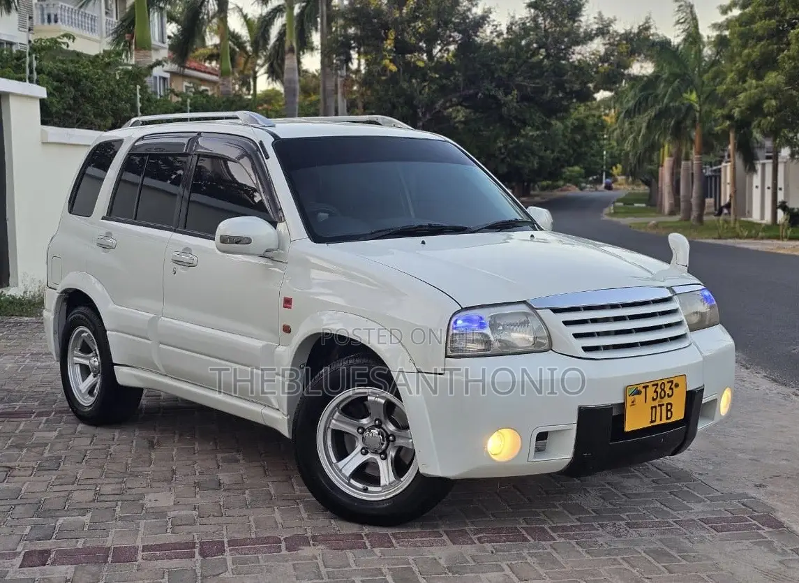 Suzuki Escudo 2004 White