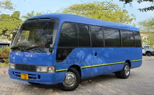 Toyota Coaster 1996 Blue