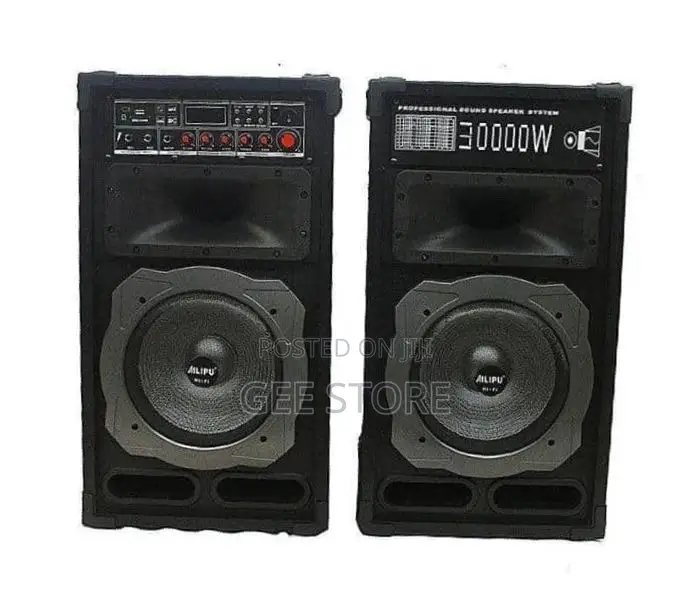 Alitop Profeesional Speaker