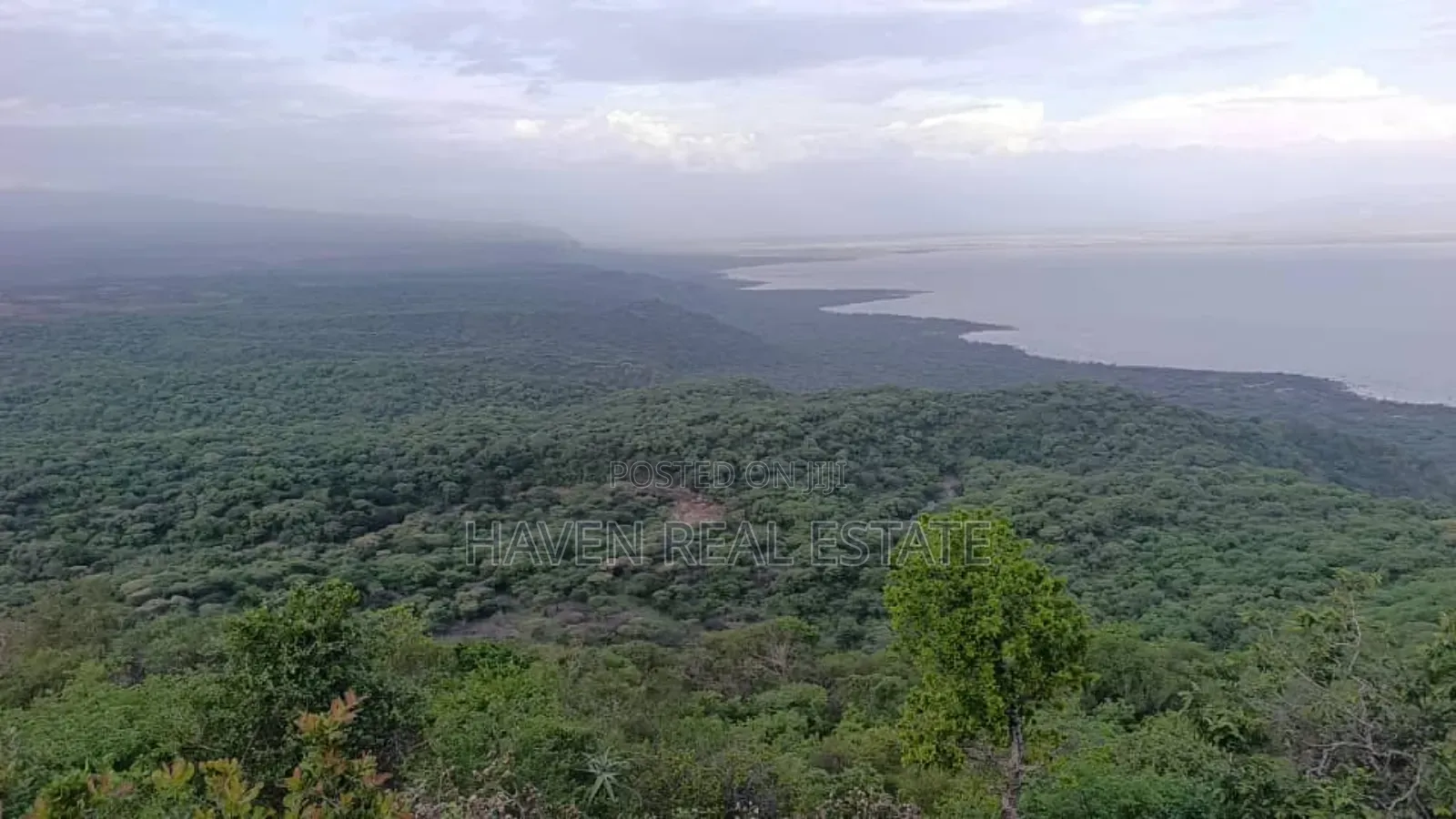 *Eneo La Ekari 100 Lenye View Ya Mbuga Manyara Na Ziwa Manyara Karatu