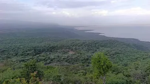 *Eneo La Ekari 100 Lenye View Ya Mbuga Manyara Na Ziwa Manyara Karatu