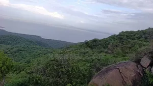 *Eneo La Ekari 100 Lenye View Ya Mbuga Manyara Na Ziwa Manyara Karatu
