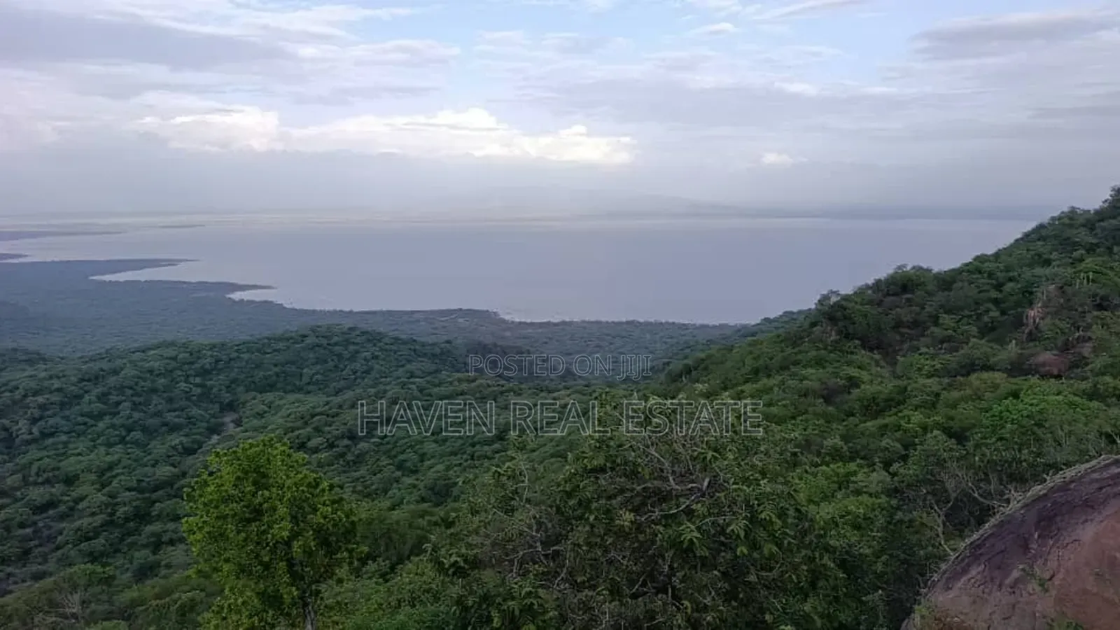 *Eneo La Ekari 100 Lenye View Ya Mbuga Manyara Na Ziwa Manyara Karatu