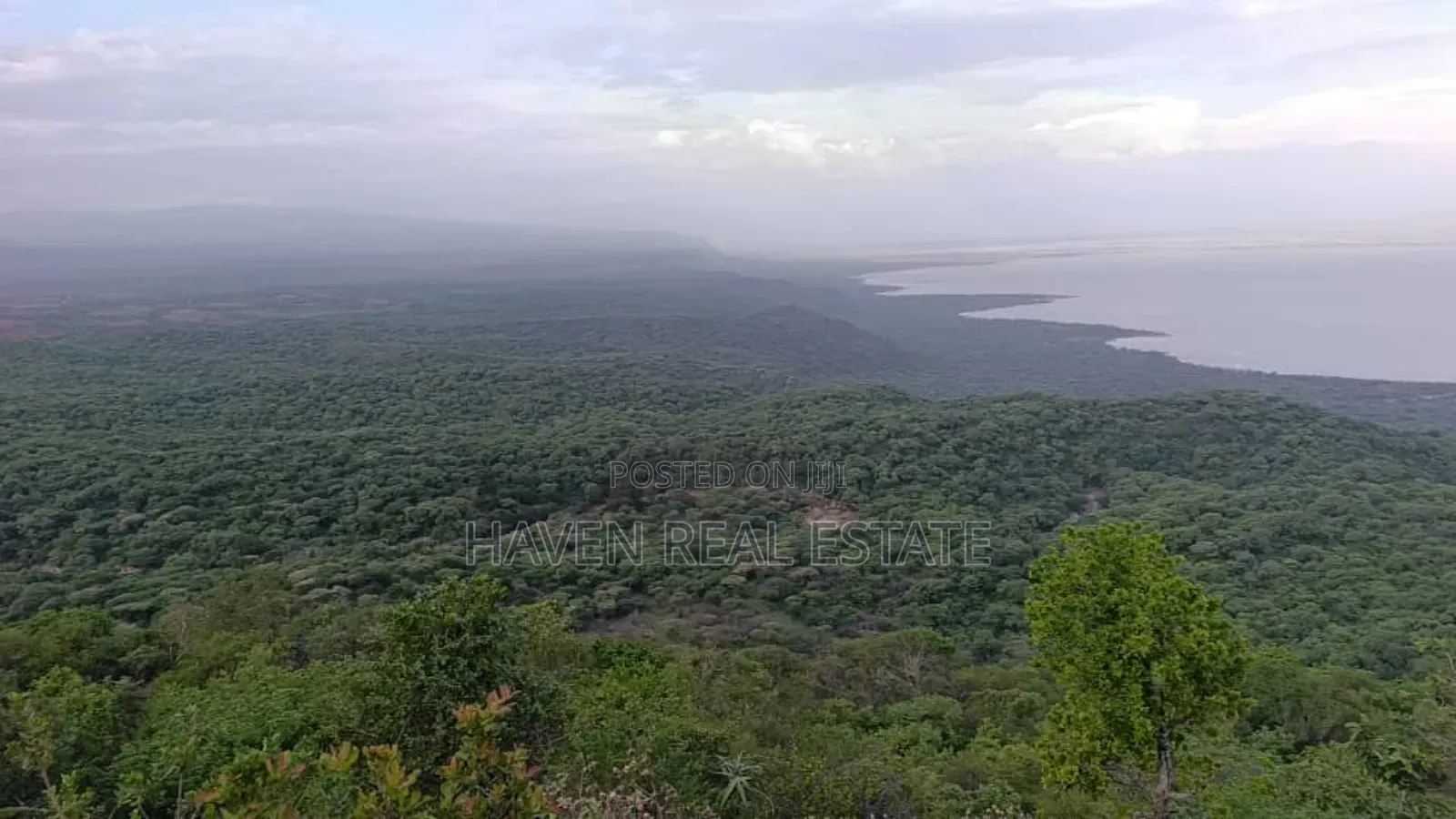 *Eneo La Ekari 100 Lenye View Ya Mbuga Manyara Na Ziwa Manyara Karatu