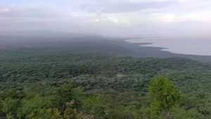 *Eneo La Ekari 100 Lenye View Ya Mbuga Manyara Na Ziwa Manyara Karatu