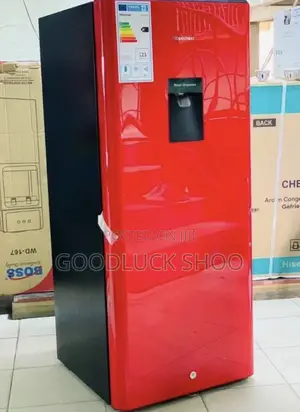 Hisense Fridge H 235 RTS