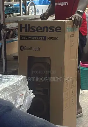 Hisense Hp300 Party Speaker