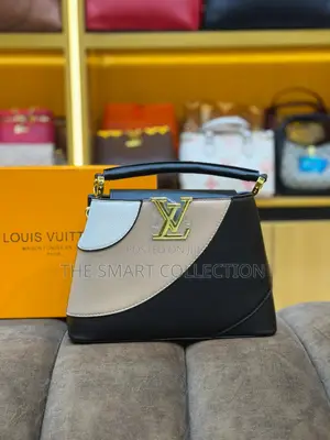Louis Vutton Bags  for Ladies