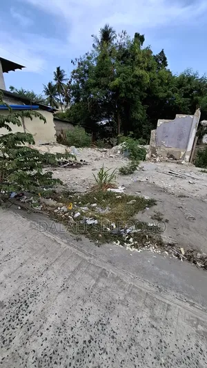 Plot at Sinza Kwa Manyola