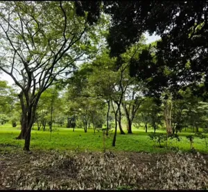 Prime Land for Sale in Usa River