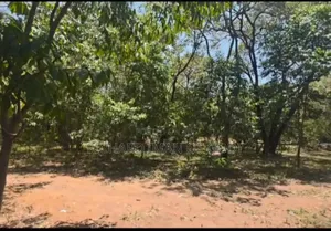 Prime Land for Sale in Usa River