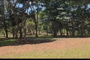 Prime Land for Sale in Usa River
