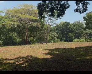 Prime Land for Sale in Usa River