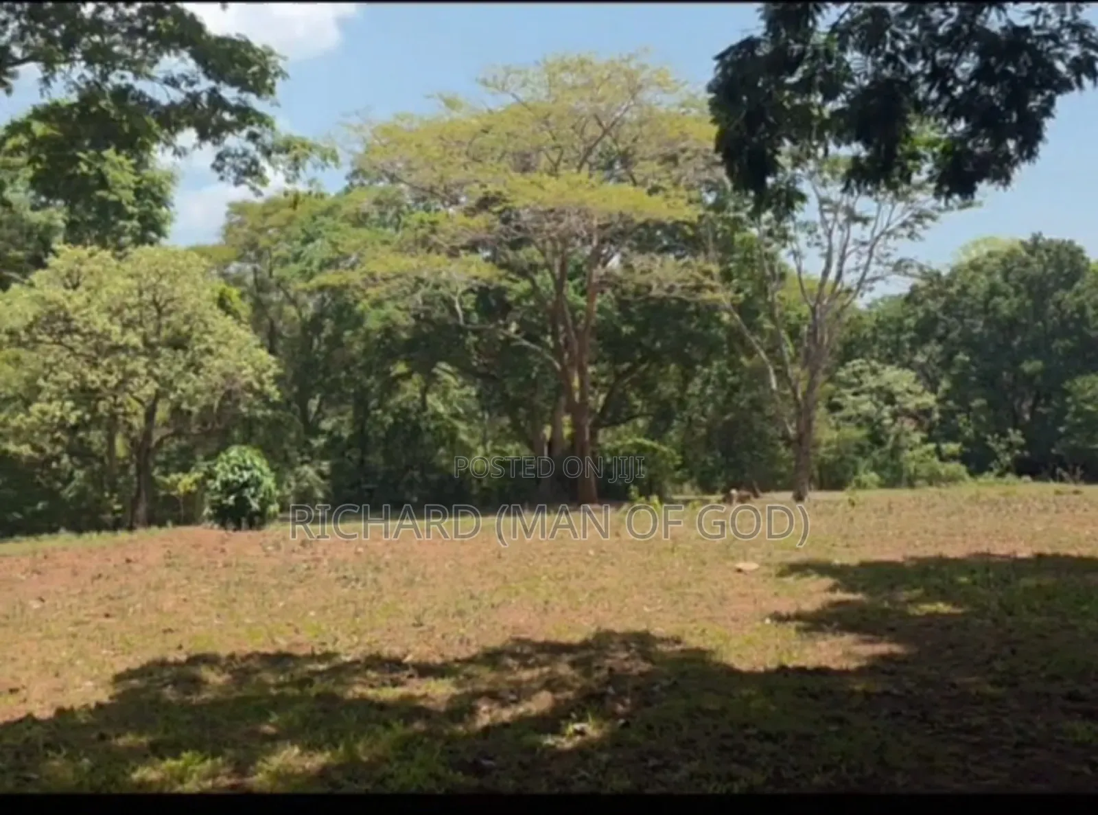 Prime Land for Sale in Usa River