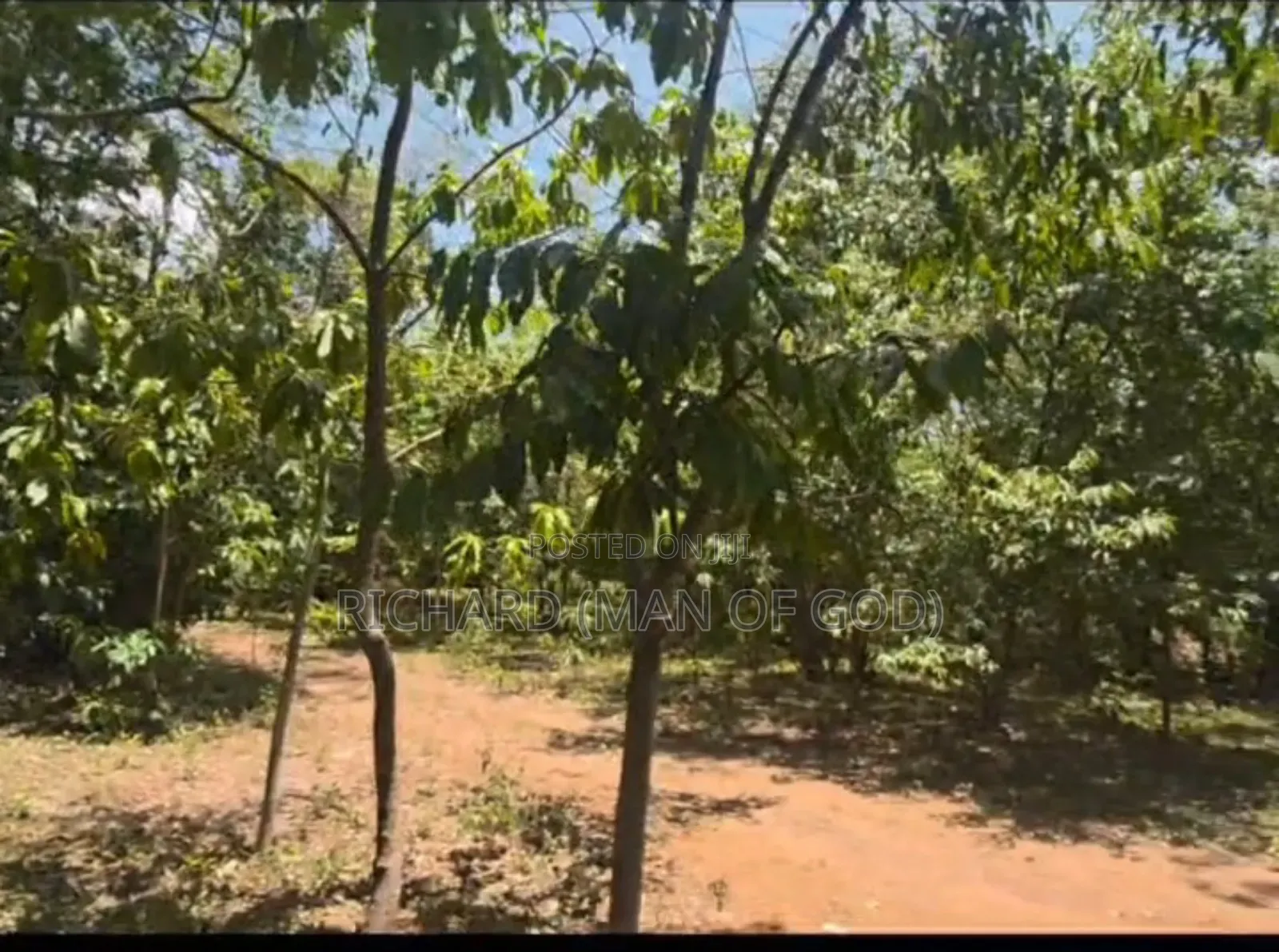 Prime Land for Sale in Usa River