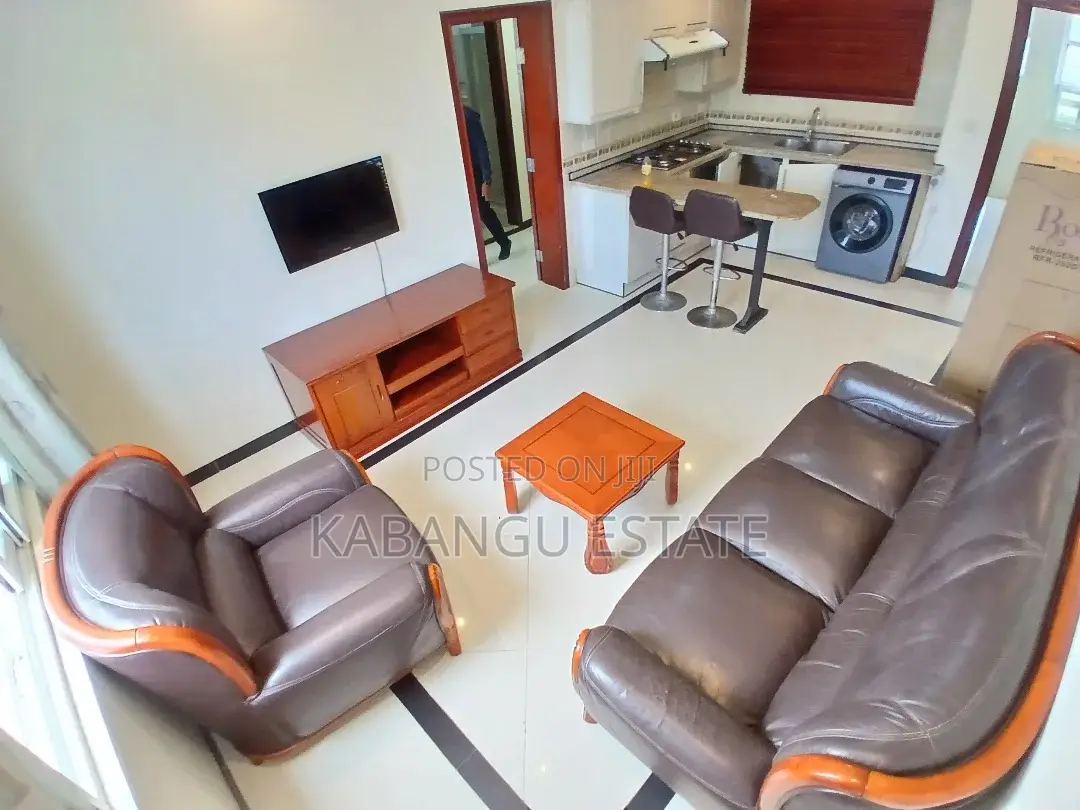 Furnished 1bdrm Apartment in Upanga for rent