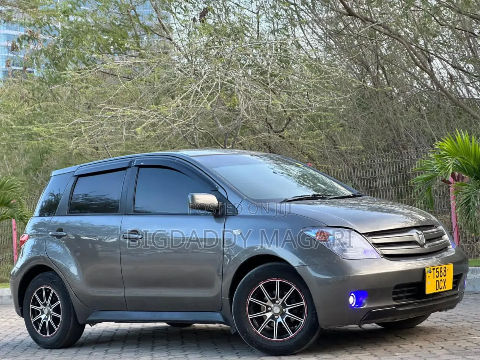 Toyota IST 2004 Gray