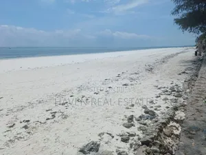 30 Acres Beach Plot for Sale at Zanzibar