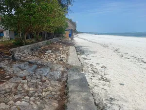 30 Acres Beach Plot for Sale at Zanzibar