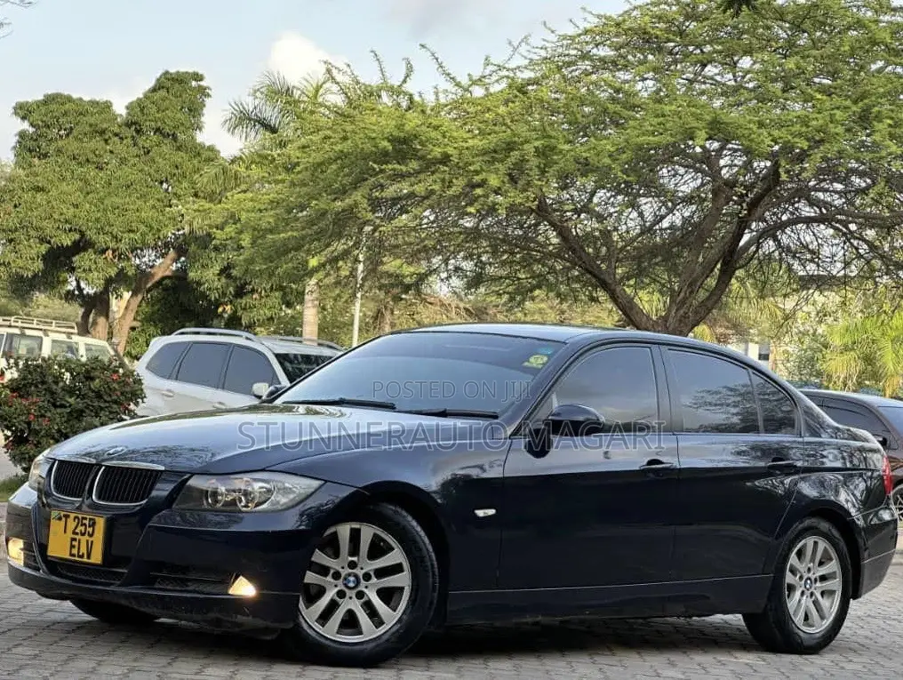 BMW 3 Series 2007 Blue